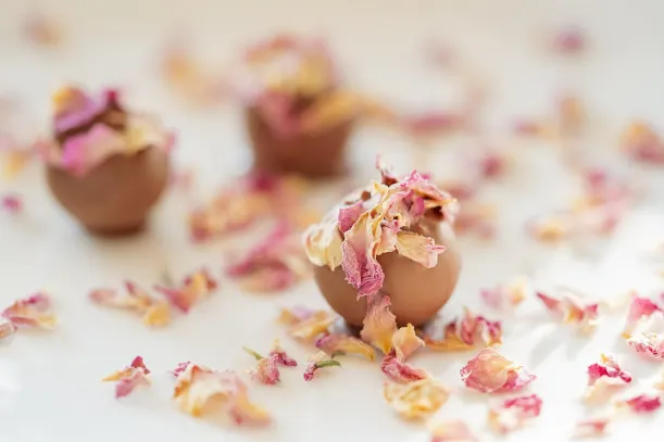 LottoKings Kazino Android/iOS programa